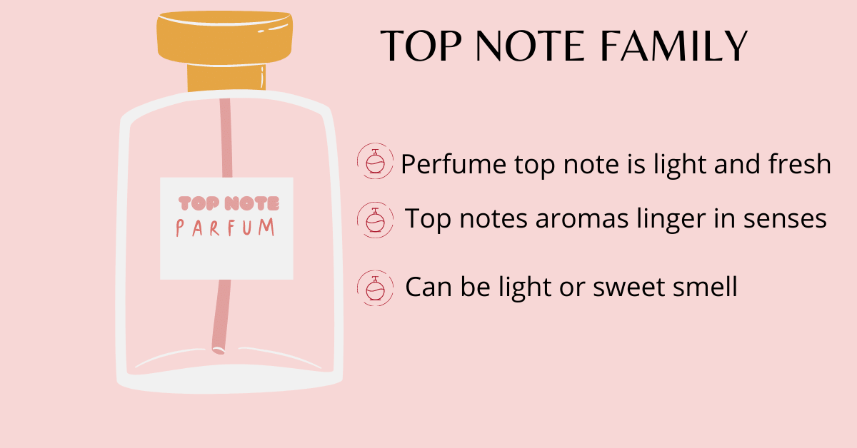 what are top, middle and base notes in perfumes