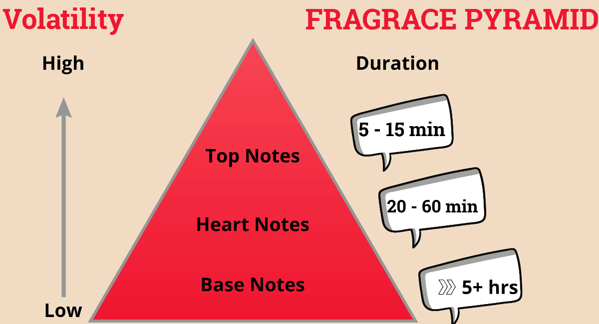 top middle base notes perfume